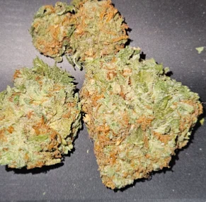 Bud God